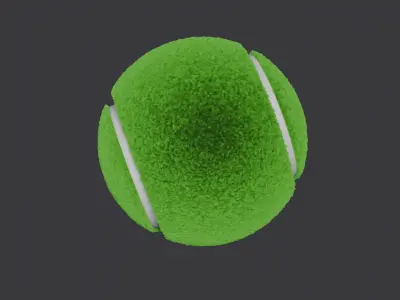 TENNIS BALL WITH HAIRS IN 3D 3D model