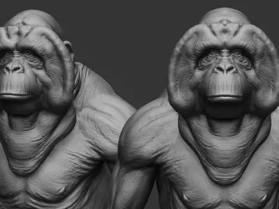 Orangutan  3D model