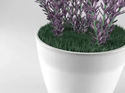 Decorative lavender 3D model