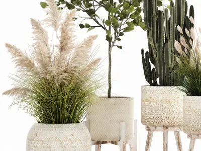 Ornamental plants in rattan baskets 1035 3D model