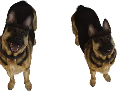 German Shepherd  Low-poly 3D model