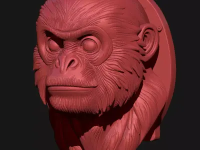 monkey 3D print model