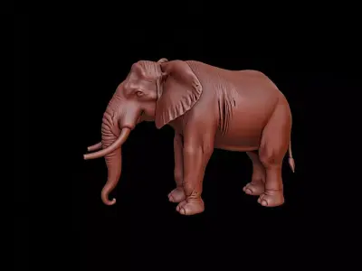 Elephant Animal Sculpture 3D print model get