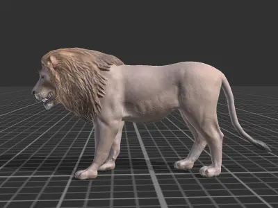 African Lion Low-poly 3D model