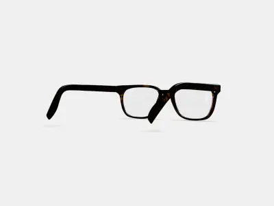 Hector Eyeglasses in Whiskey Tortoise 3D model