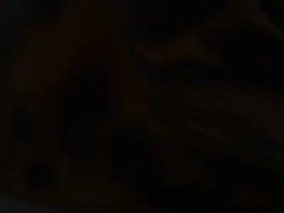 Realistic Bengal Cat Model Pack for D Rendering and Games Low-poly 3D model