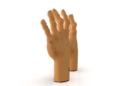Tortured Man Hands 3D print model