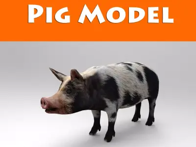 Black Wild Pig low poly 3D model Low-poly 3D model