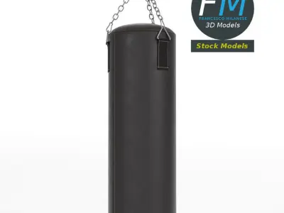 Boxing bag 3D model