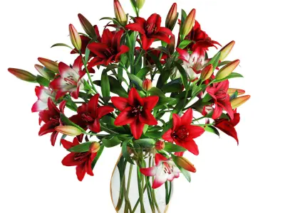 Flower Set 14 - Red Lilies Bouquet 3D model