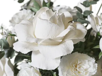 Flower Set 076 Rose white and Pink 3D model