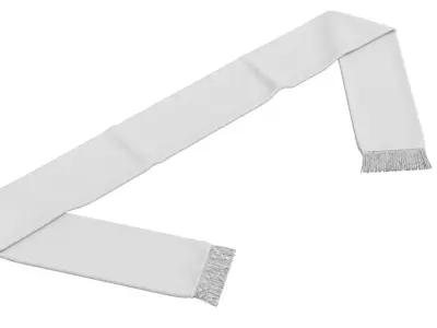 Football Fan Scarf 02 3D model