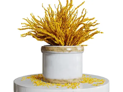 Aloysia Rattan decorative set 3D model