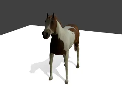 Detailed Paint Horse - Pinto 3D model