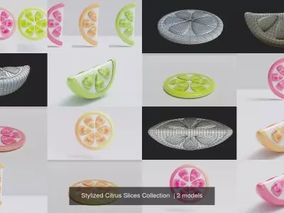 Stylized Citrus Slices Collection 