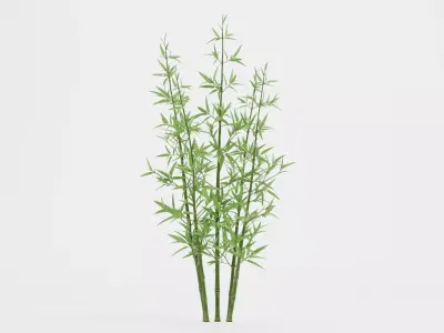 Bamboo Cluster Low-poly 3D model