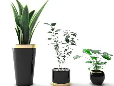 plant collection set 01 3D model