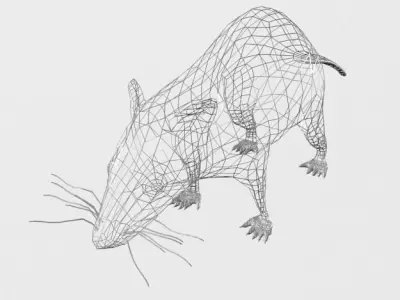 Opossum Low-poly 3D model