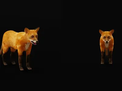 Red Fox Karaganda Low-poly 3D model