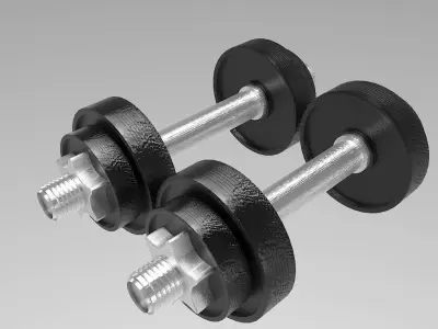 Dumbbell 3D model two dumbbells 3D model