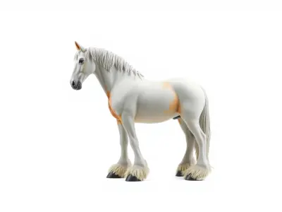 Clydesdale Horse with Feathered Fetlocks 3D Model Low-poly 3D model
