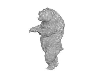 Bear - 3D model