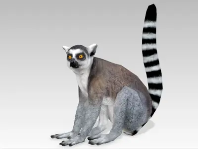 Ring-tailed lemur Low-poly 3D model