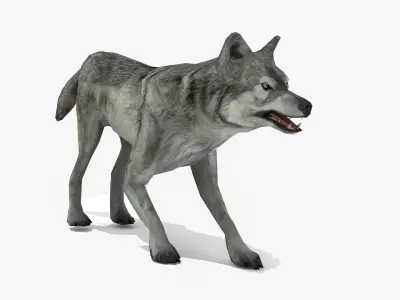Wolf - Animated Low-poly 3D model