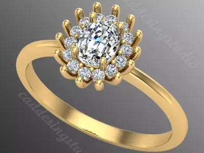 Ring ri232 3D print model