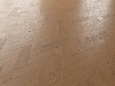  Parquet Oak Cornell Firestop set 5 3D model