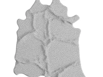 Animal skin rug 18 3D model