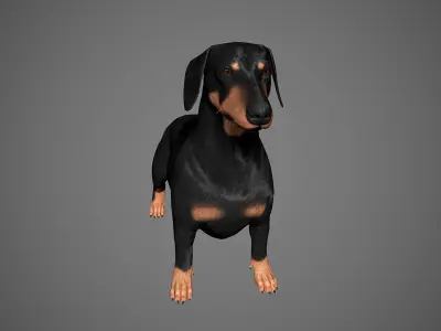 Dachshund Real-Time Low-poly 3D model