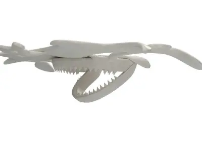 Hammerhead Shark Skull 3D model