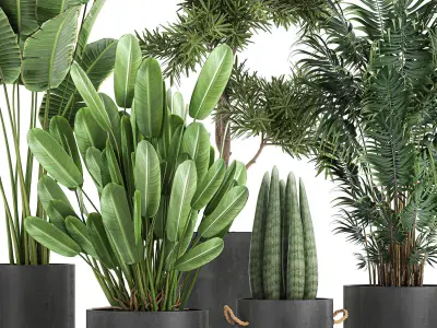 Collection of decorative plants in flowerpots 754 3D model