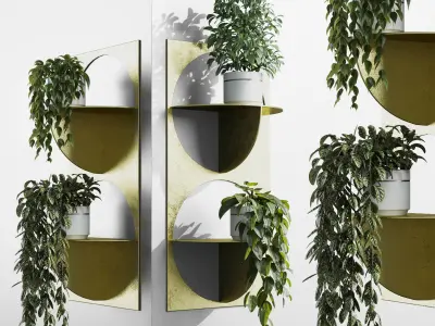 wall plant - set Indoor plant 365 plants in on a shelf Low-poly 3D model