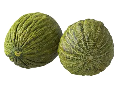 Melon Piel De Sapo 3D model