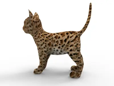 3d Pet Cat low poly game ready  Low-poly 3D model