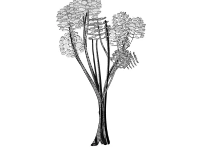 Cartoon tree S2Bv1 3D model