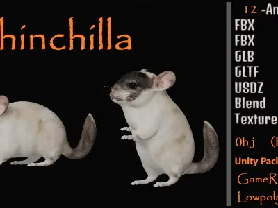 Chinchilla Low-poly 3D model