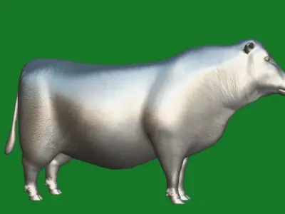 Santa Gertrudis American Cattle Low-poly 3D model