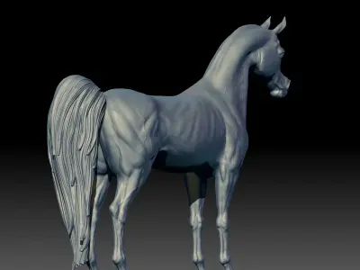 Arabian Horse 3D print model