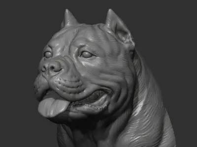 American bully head version 1 3D print model