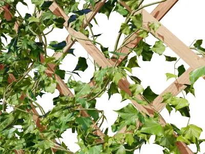 Wood Mesh Wall with Ivy Climber Low-poly 3D model
