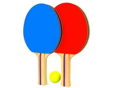 Table Tennis Paddles 3D model