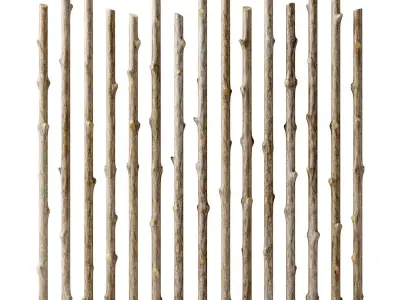 Branch thick decor fundament n1 3D model