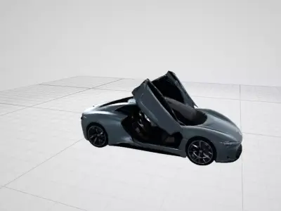 rase  car open door 3D print model