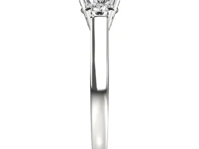 Bespoke ring Free 3D print model