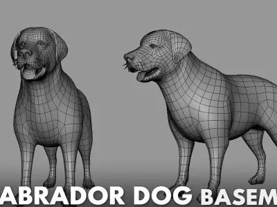 Labrador Dog BaseMesh  Low-poly 3D model
