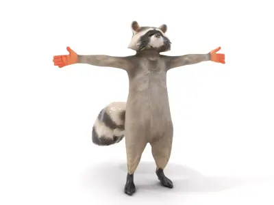 Lifelike Raccoon model pack Low-poly 3D model