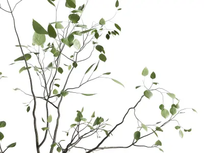 Branches plant with galss vase white bouquet 22 3D model